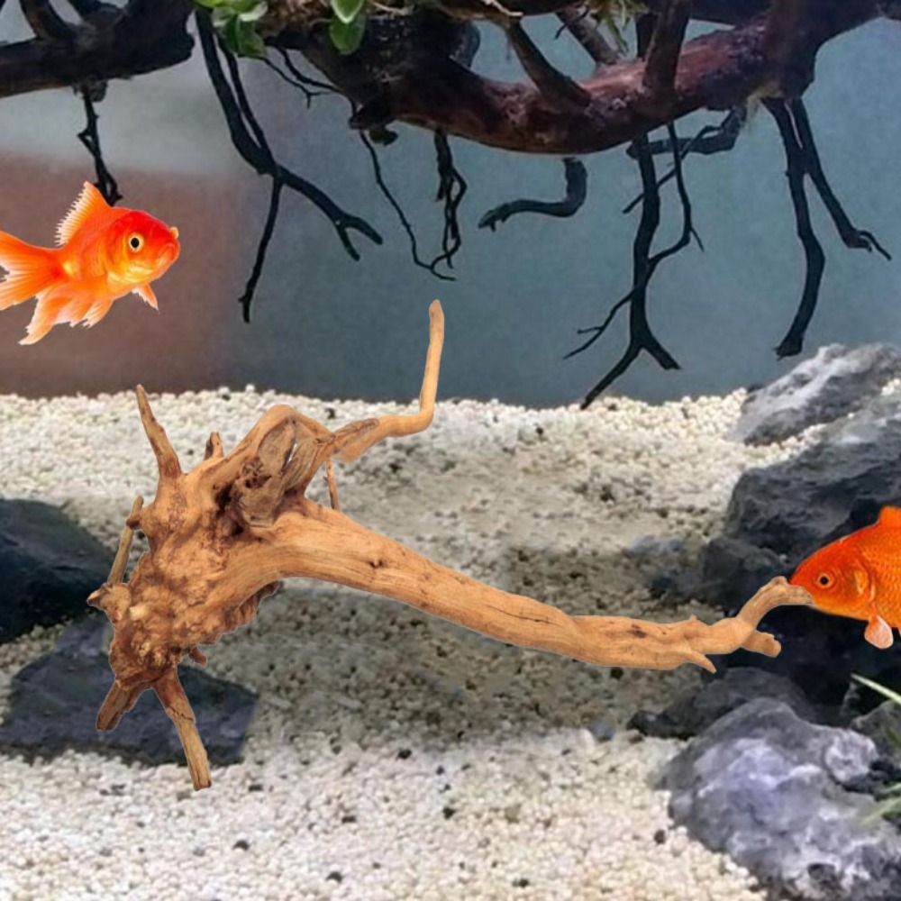 Doğal ağaç gövdesi akvaryum de - Aquarium Plant Guide incelemesi ve fiyatı
