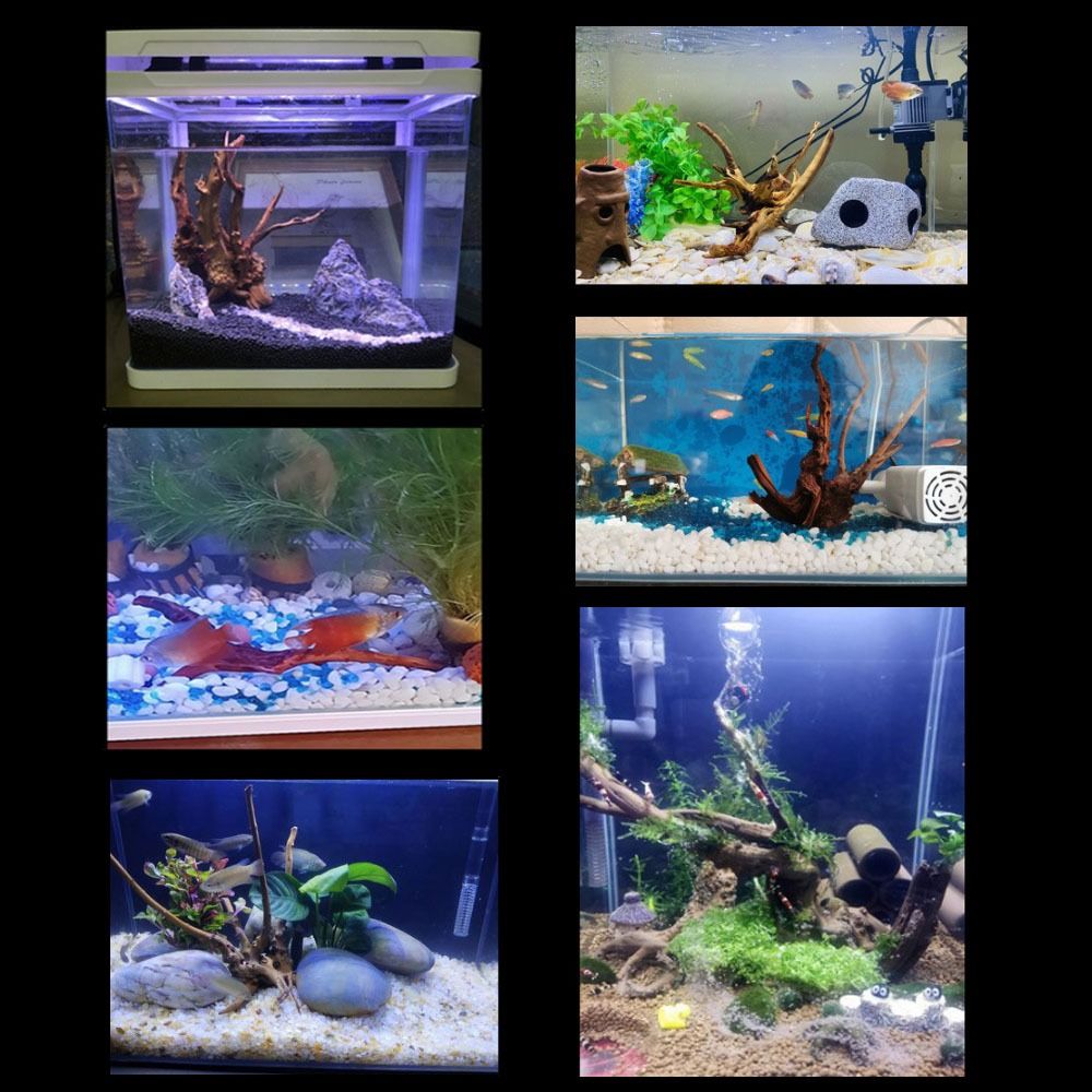 Doğal ağaç gövdesi akvaryum de - Aquarium Plant Guide incelemesi ve fiyatı