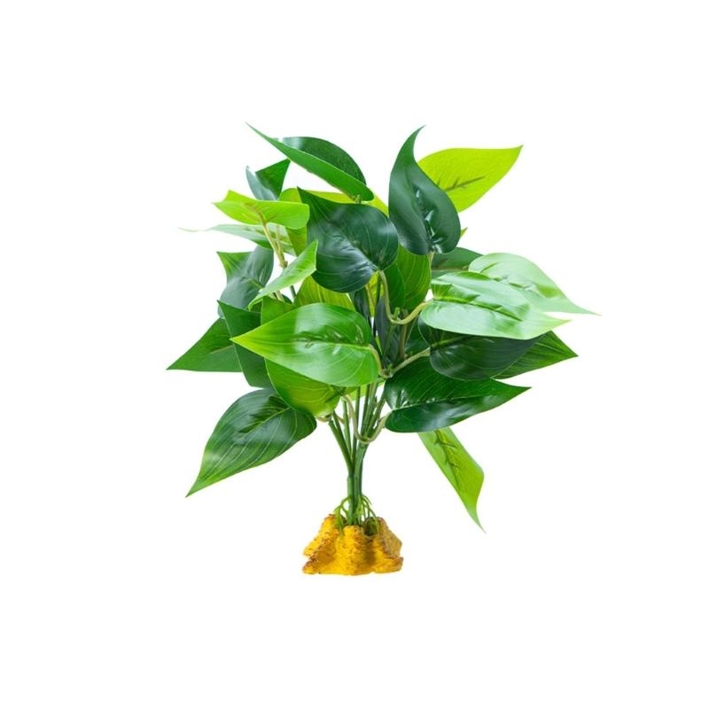 Yapay Asma Bitki Balık Akvaryu - Planted Aquarium With Fish incelemesi ve fiyatı