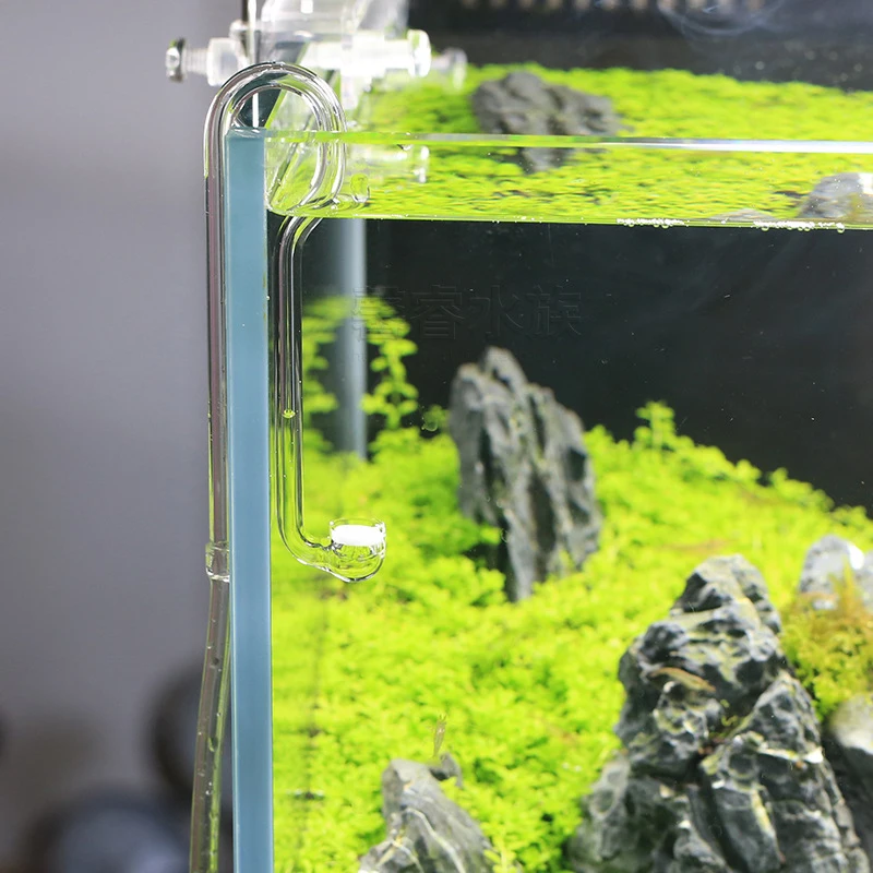 VIV BETTER LIFE CO2 Sistemi Di - Planted Aquarium Ada incelemesi ve fiyatı