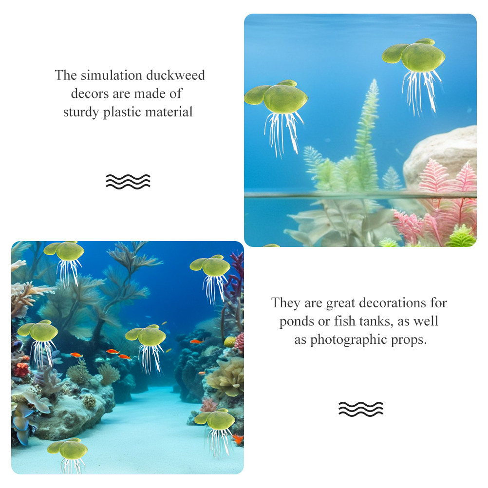 Akvaryum Bitkileri Tatlı Su Ba - Planted Aquarium For Beginners incelemesi ve fiyatı