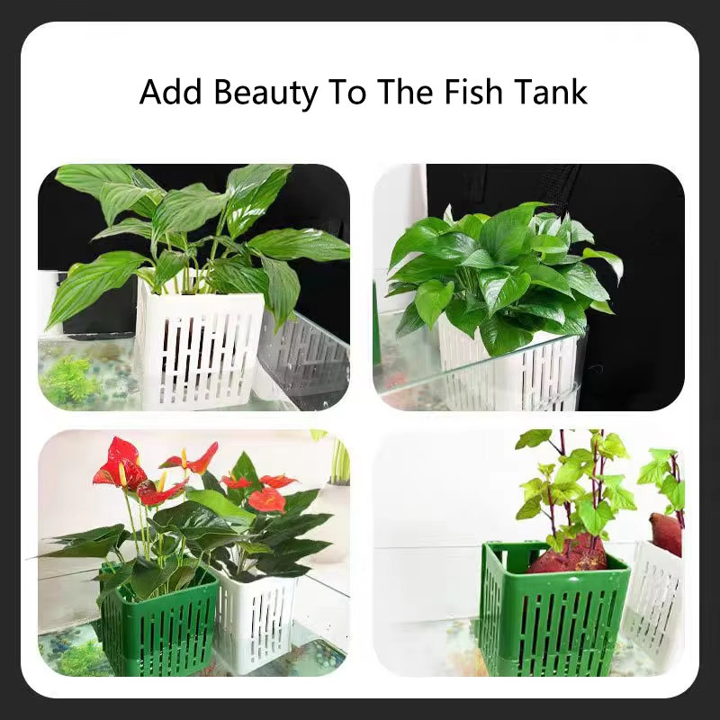 1 adet su tesisi peyzaj balık  - Aquarium Planted Background incelemesi ve fiyatı
