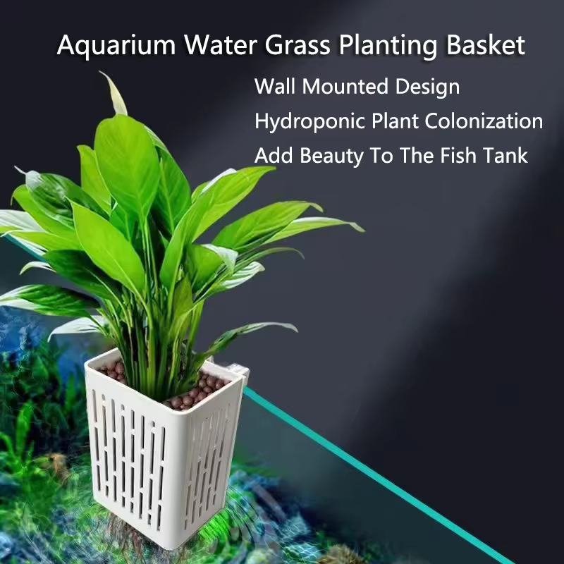 1 adet su tesisi peyzaj balık  - Aquarium Planted Background incelemesi ve fiyatı
