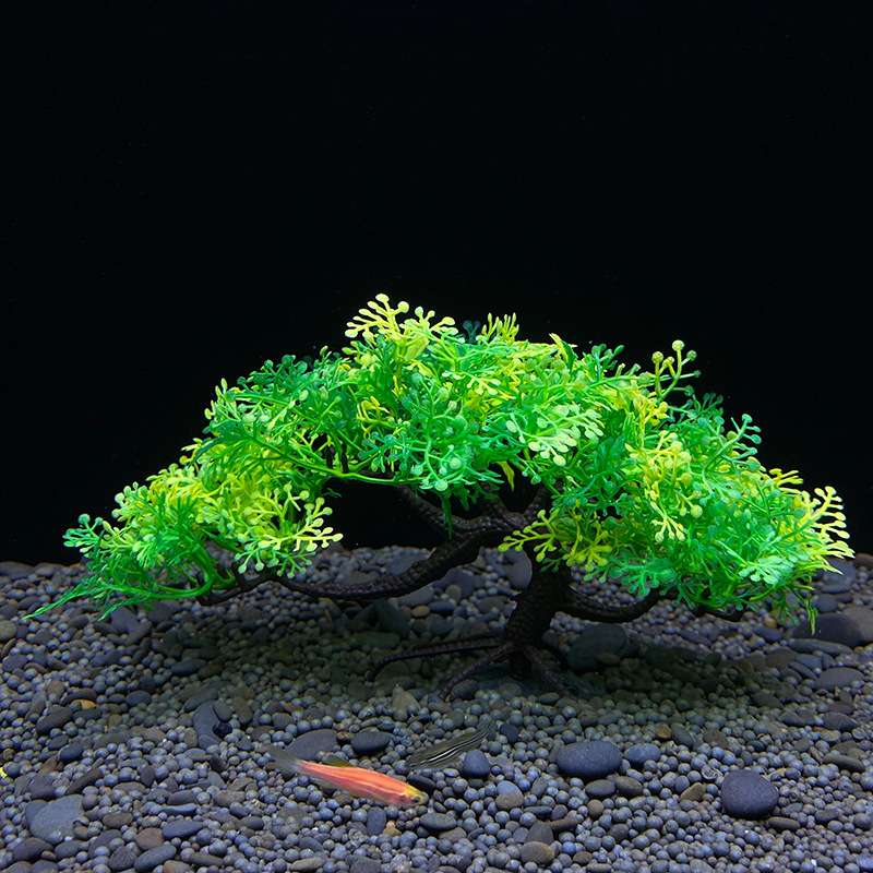 Akvaryum Bonsai Ağacı, Bitki,  - Aquarium Plant Guide incelemesi ve fiyatı