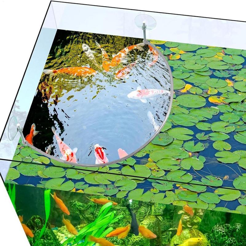 Yüzen Bitki Mercan Balığı Besl - Aquarium Plant Delivery incelemesi ve fiyatı