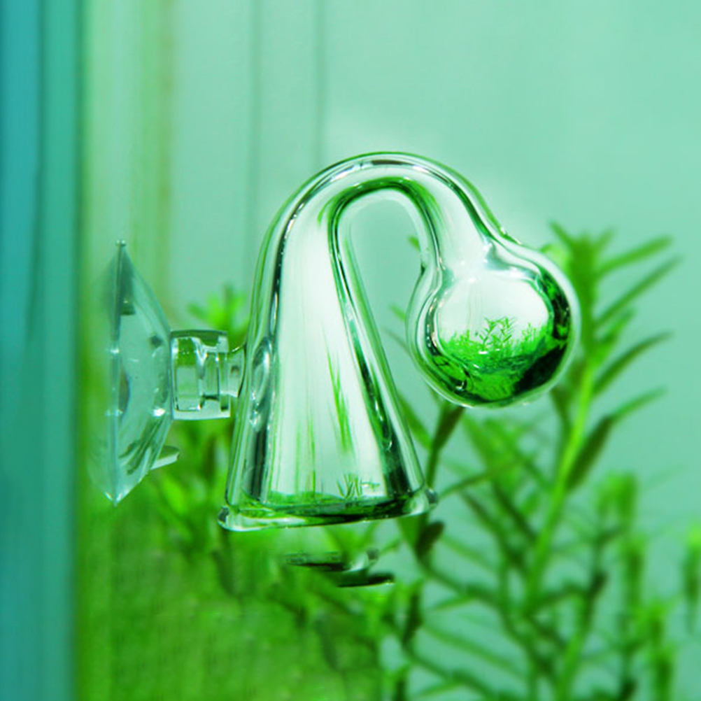 Monitör test cihazı akvaryum b - Aquarium Plant Delivery incelemesi ve fiyatı
