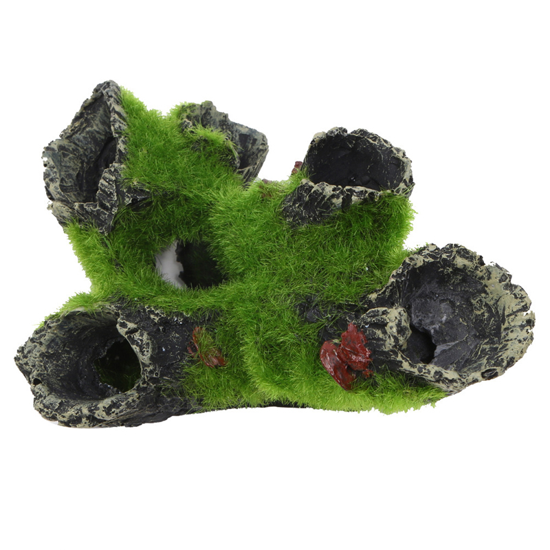 Reçine Yetiştiriciliği Gizleme - Aquarium Plant Guide incelemesi ve fiyatı
