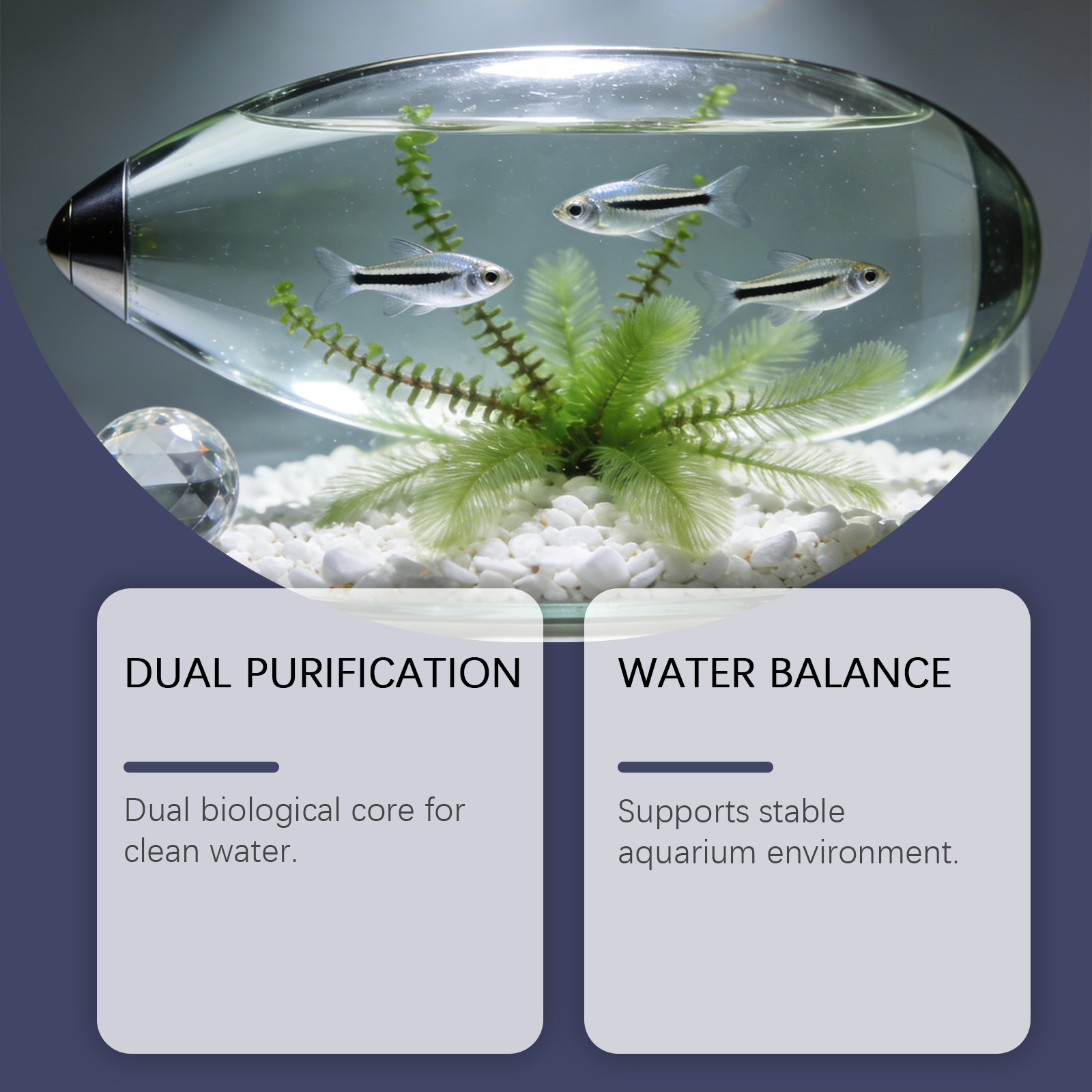 Akvaryum için Alg Giderici Tab - Planted Aquarium Algae Remover incelemesi ve fiyatı