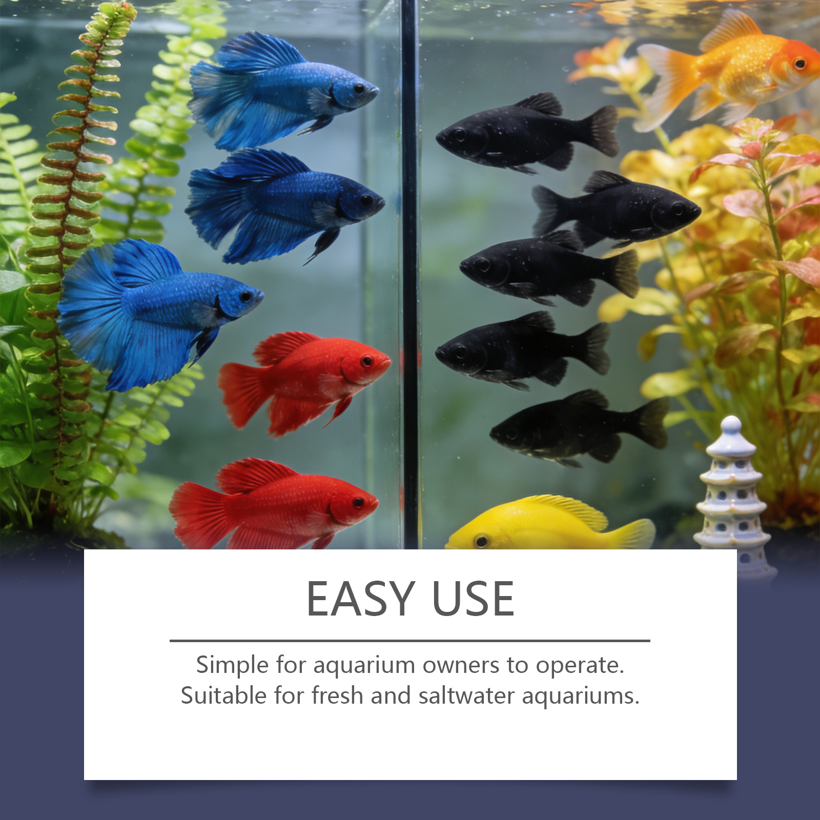 Akvaryum için Alg Giderici Tab - Planted Aquarium Algae Remover incelemesi ve fiyatı