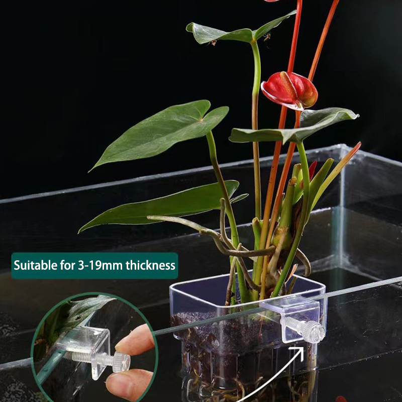 Çok fonksiyonlu balık akvaryum - Aquarium Planted Tank incelemesi ve fiyatı