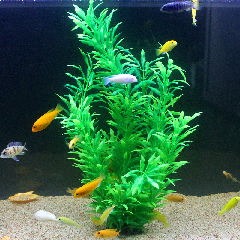 50 CM Yapay Balık Tankı Nadir  - Aquarium Planted Tank incelemesi ve fiyatı
