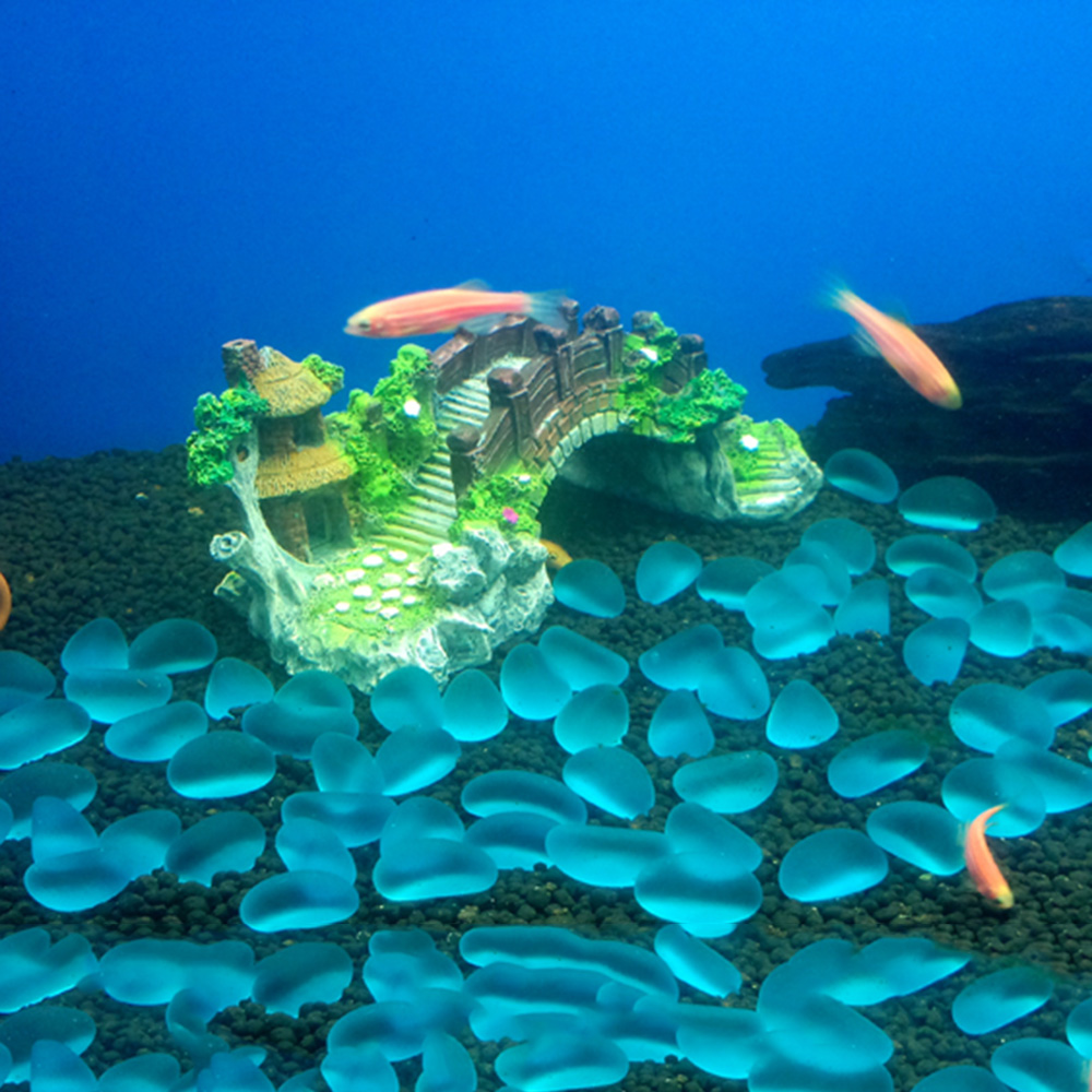 Akvaryum Aksesuarları Çardak A - Aquarium Plant Guide incelemesi ve fiyatı