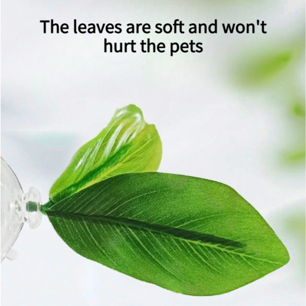 1 Adet Yeşil Yaprak Betta Balı - Planted Aquarium Betta incelemesi ve fiyatı