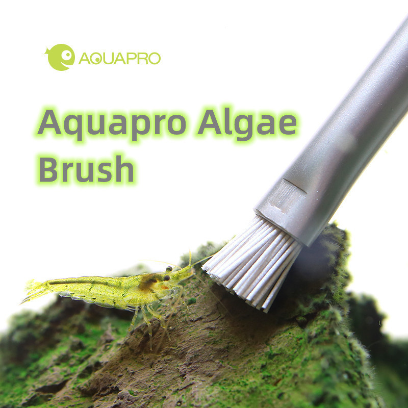 Aquapro yosun fırçası akvaryum - Planted Aquarium Ada incelemesi ve fiyatı