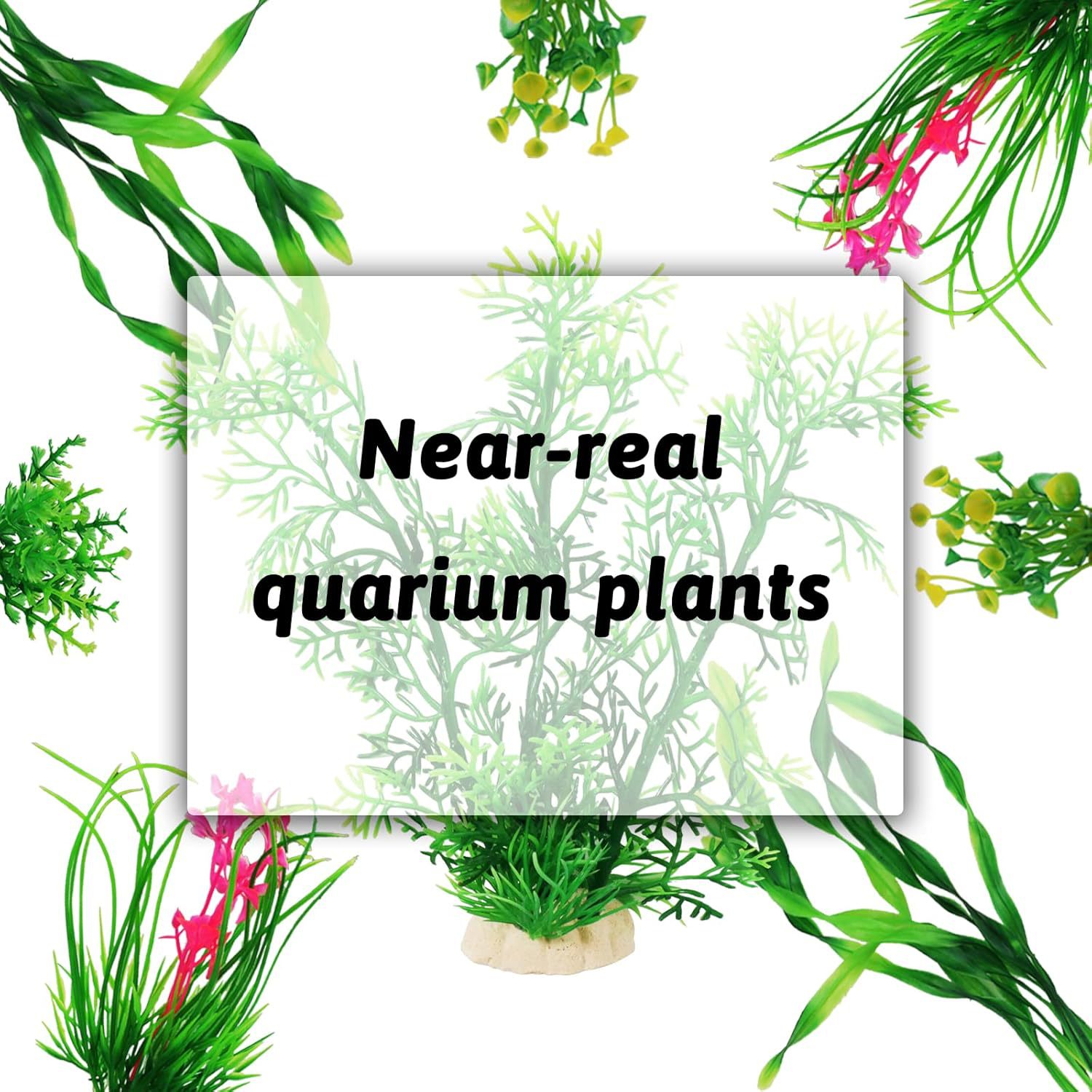 Yapay Akvaryum Bitkileri Seti  - Planted Aquarium For Beginners incelemesi ve fiyatı