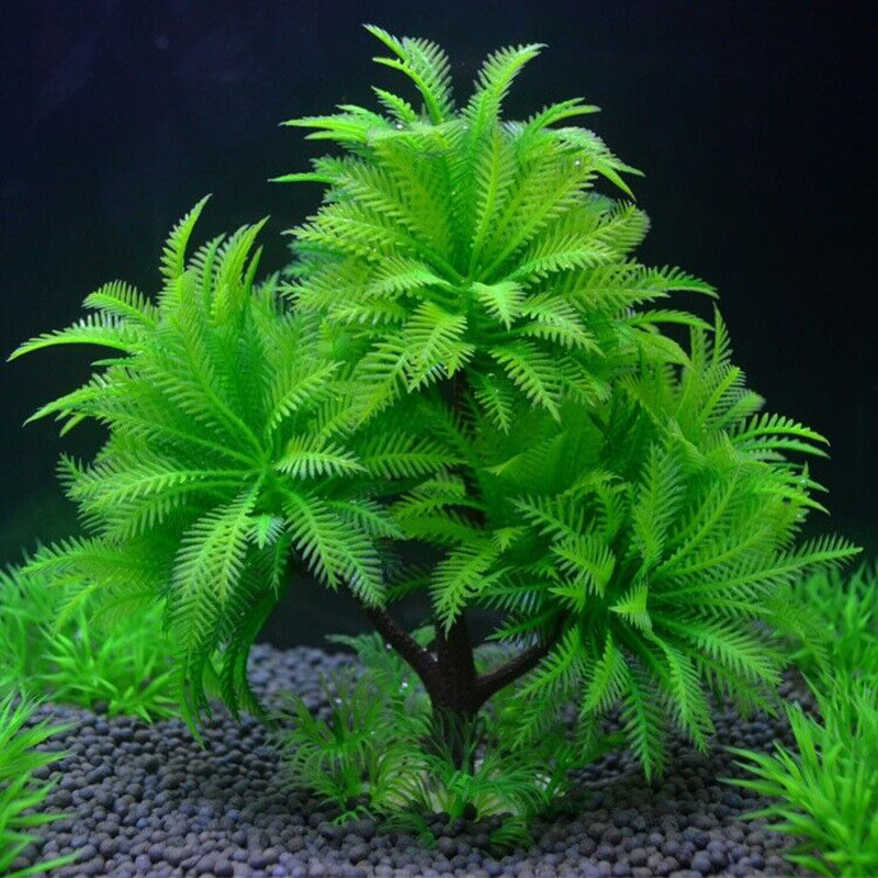 Akvaryum Dekoratif Simülasyon  - Aquarium Plant Guide incelemesi ve fiyatı