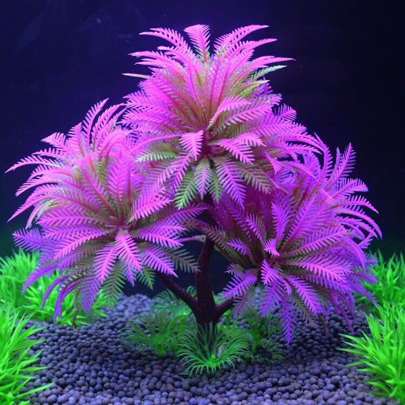Akvaryum Dekoratif Simülasyon  - Aquarium Plant Guide incelemesi ve fiyatı