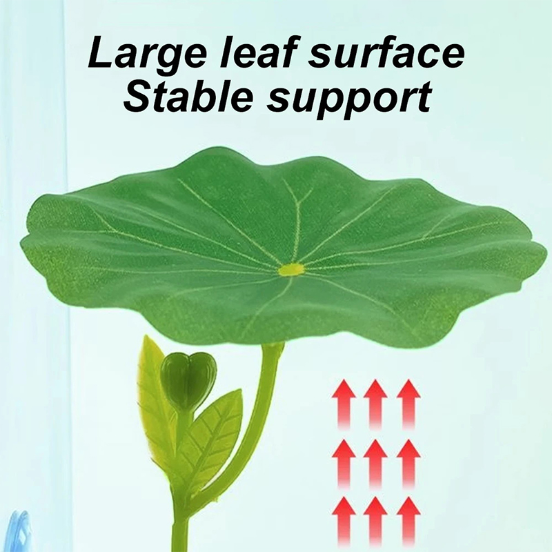 1 adet Betta balık için stres  - Planted Aquarium Betta incelemesi ve fiyatı