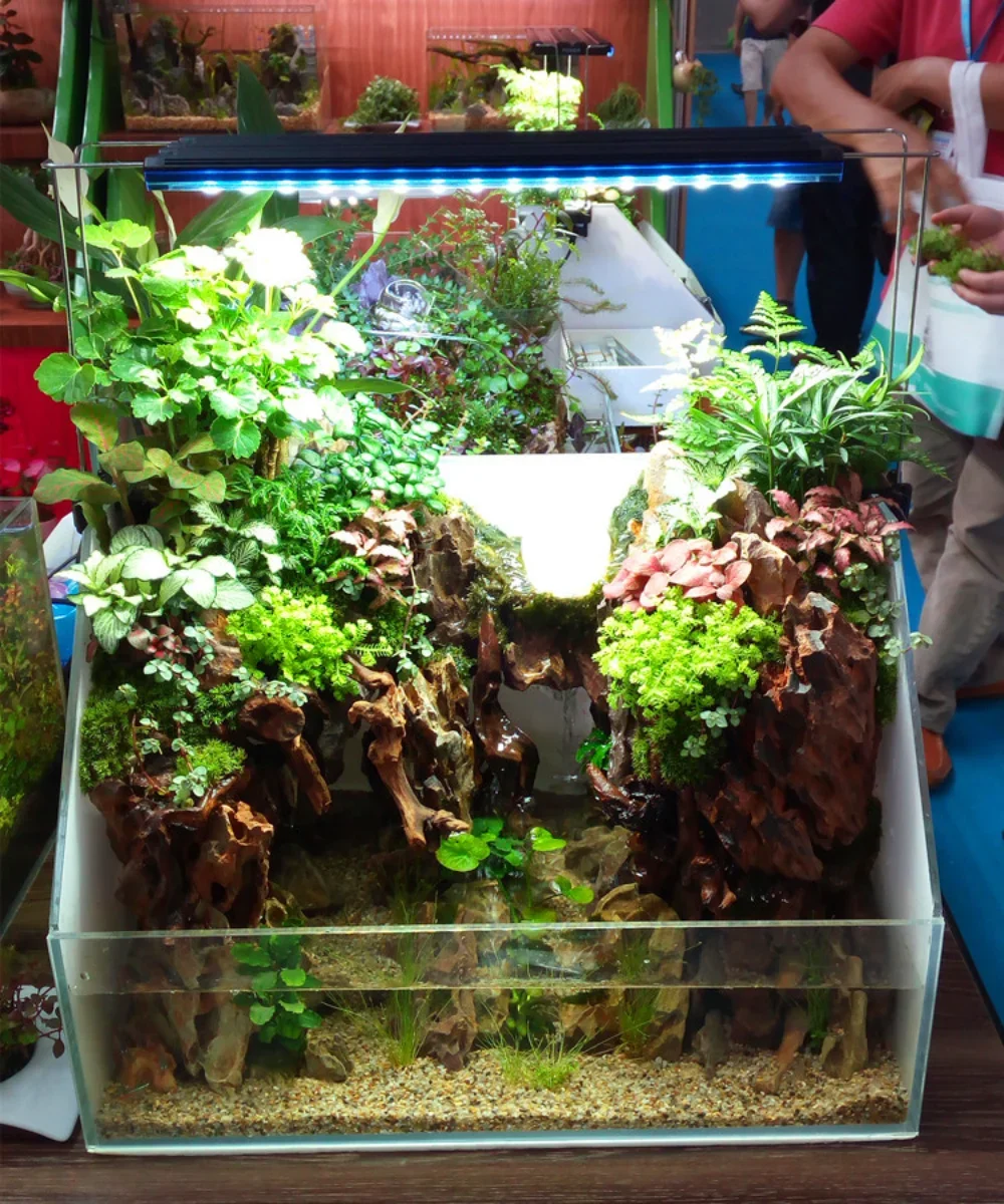 Su Bitki Lambası, LED Balık Ta - Aquarium Plant Light Spectrum incelemesi ve fiyatı