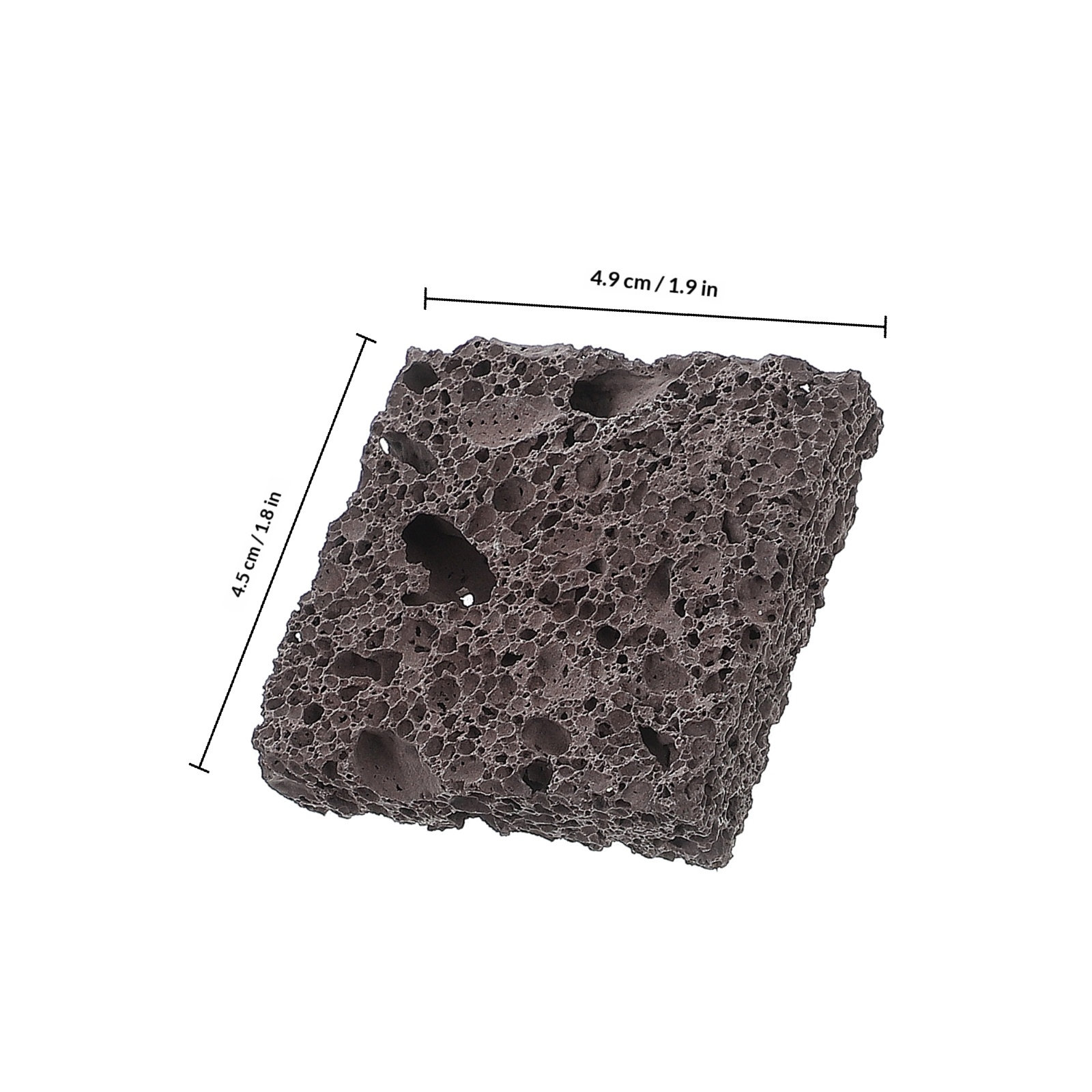 3 Adet Su Bitkisi Çoğaltma Doğ - Planted Aquarium Anubias incelemesi ve fiyatı